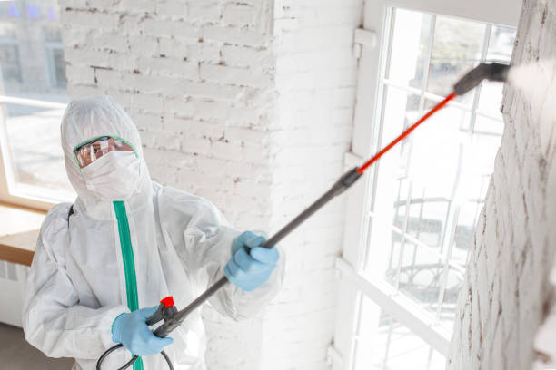 Best Comprehensive Air Testing for Mold Contaminants  in Clifton Heights, PA