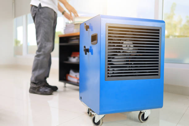 Best Dehumidification Services  in Clifton Heights, PA