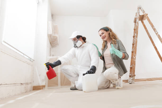 Professional Mold Removal in Clifton Heights, PA